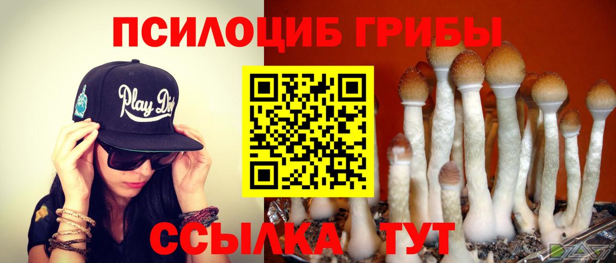 Псилоцибиновые грибы MAGIC MUSHROOMS Миасс