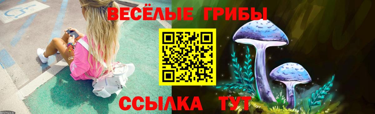 Галлюциногенные грибы GOLDEN TEACHER  Вход с VPN  наркотики  Миасс 